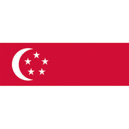 Tokyo Flag Tabletop Flag (16 x 24 cm) Singapore 406326 1 piece