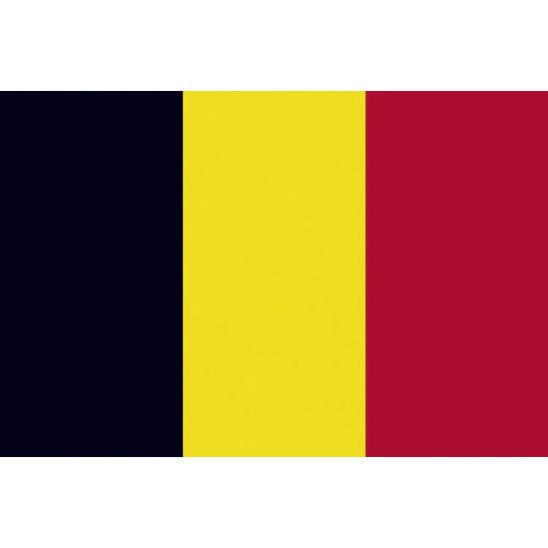 Tokyo Flag Tabletop Flag (16 x 24 cm) Belgium 406667 1 piece