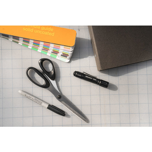 PELICAN 1910 LED Light 019100-0001-110 1 piece