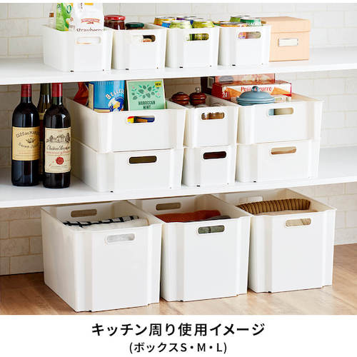 TENMA 수납 박스 FV 스키피타 박스 L 811000747 1개