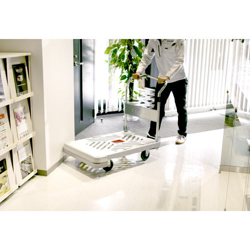 ダンディ オプションバンパー ダンディX・Pシリーズ タイプXA・PA専用 W905×D605 PA-BP 1 個