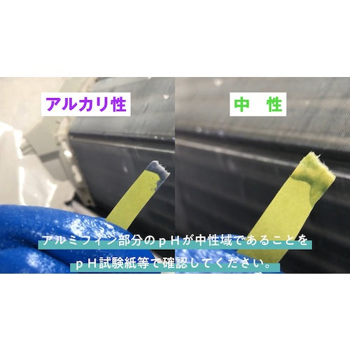 린다 실버 린스 퍼스트 10kg NB58 1 개