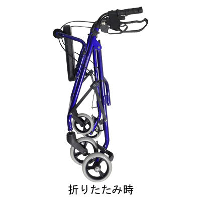 심포니/블루 1대