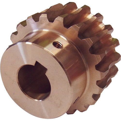 KHK ウォームホイールBG1−20R2J6 BG1-20R2J6 1 個