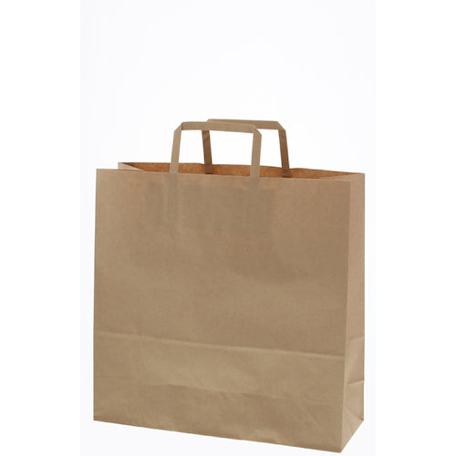 HEIKO 手提げ紙袋 25チャームバッグ 平手 3才 未晒無地 50枚入り 003262521 1 袋