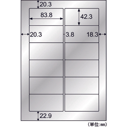 Hisago Outdoor Label Silver Film for Equipment A4 12 Sides KLPS861S 1 PK