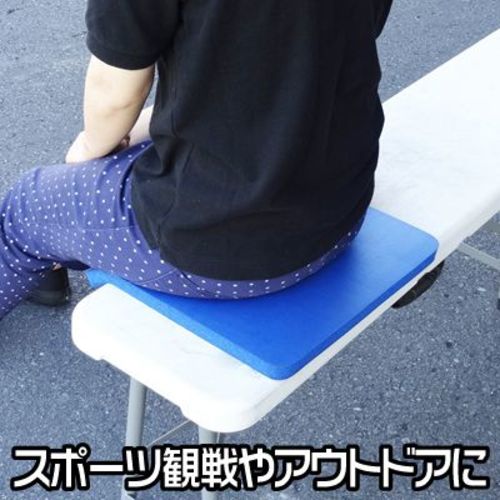 アストロプロダクツ クッションシート 青 2003000005974 1 個