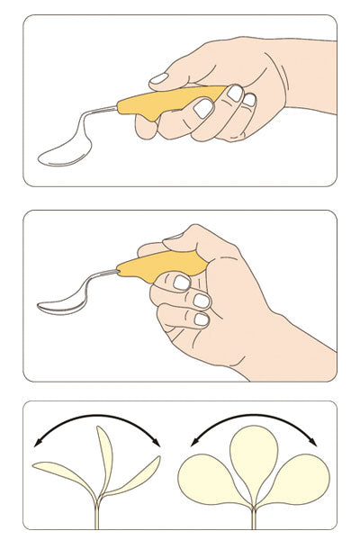 Balloon / 323 Spoon S 1