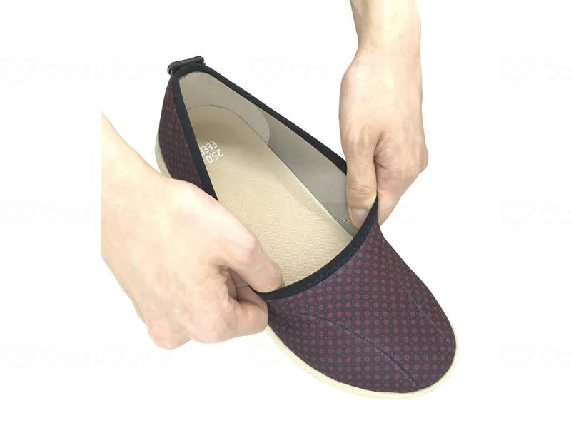 アスティコすたこらさんソフト晴88 ワイン 23.0