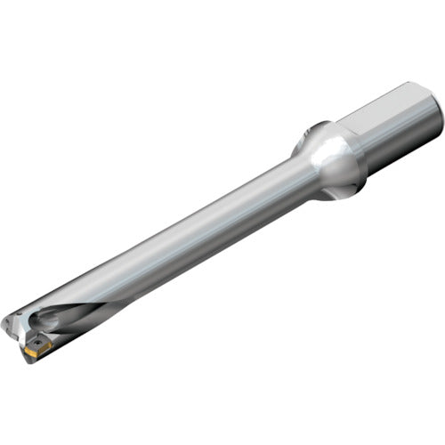 Sandvik CoroDrill DS20 replaceable tip drill (465) DS20-D3700L40-07 1 piece