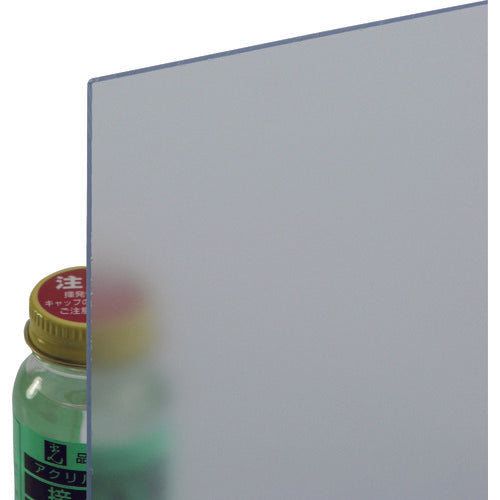 光 エンビ板透明つや消し2×910×900mm EB992-13 1 枚