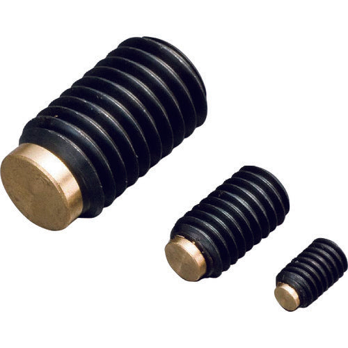 IWATA 傷防止ネジ KBC4-6 1 個