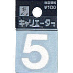 Light Cut Sheet Letter Carrier White 5 CL30W-5 1 sheet