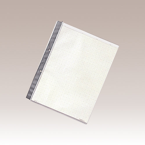 LIHIT Clear Pocket (10 pieces) Gray A4-2 holes N2008 1 set
