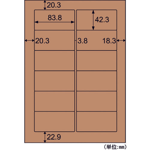 Hisago Kraft Paper Label, Dark Brown, for Cardboard, A4, 12 Sides, OPD861, 1 PK