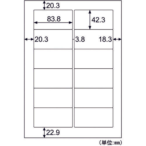 Hisago Outdoor Label A4 12 sides KLP861S 1 PK
