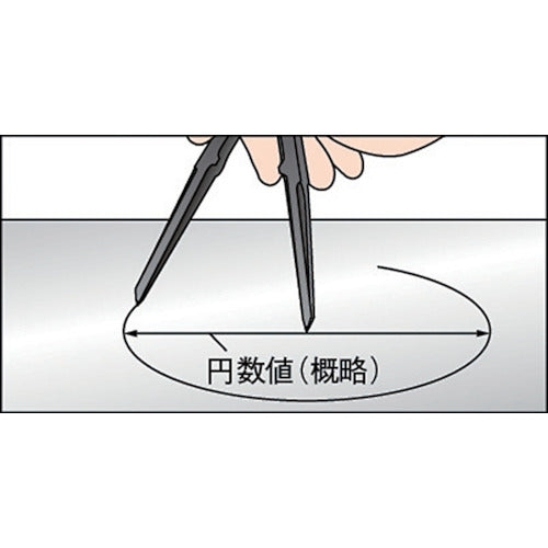 TRUSCO 超硬チップ付コンパス 長さ250 円直径380 PTC-250 1 本
