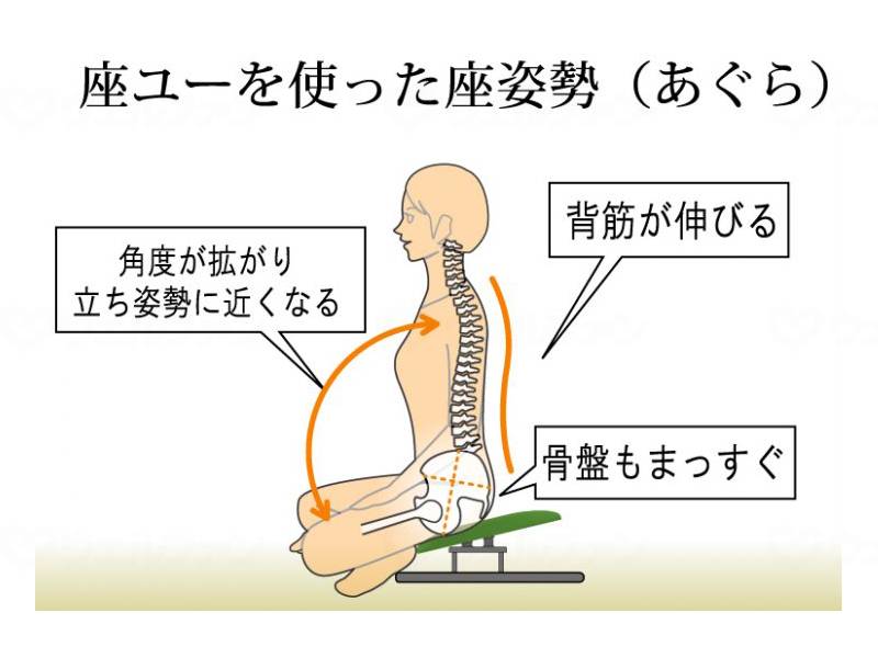 Rene Seiko Backrest Seat Yu Moss Green