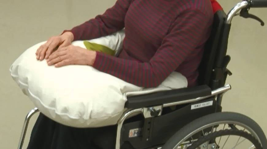 마루이 상사 하백 팔 두어 쿠션 클린