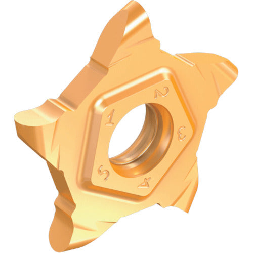 이스컬 그루브 돌기 공구용 팁 펜타컷 팁 펜타 17-P-RS/LS 우승 칩 길이 17mm