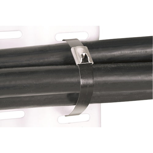 ストロングホールド フルコーティングステンレススチールバンド SUS316L 長さ233mm 幅4.6mm 100本入り IMLTFC64S−C6L IMLTFC64S-C6L 1 袋