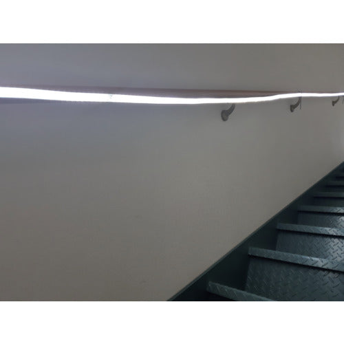 SHOWA LEDテープライト SW20-01 1 本