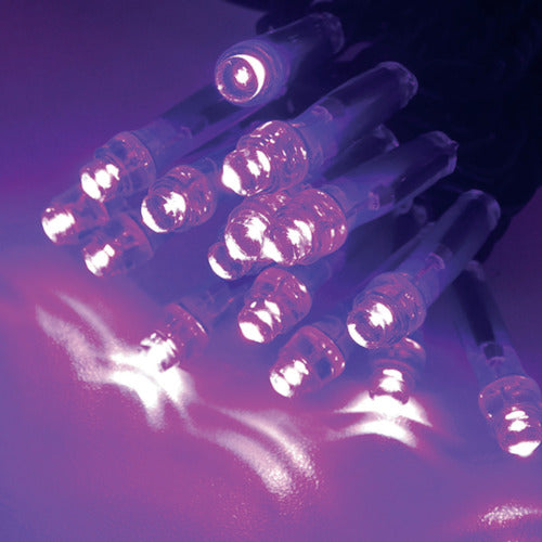 tlight LEDイルミネーション レッドパープル(拡散型) CSBRP1-100-100P/2 1 本