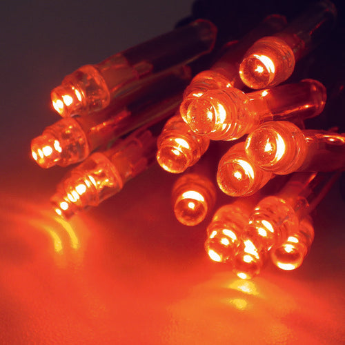 tlight LEDイルミネーション ブラッドオレンジ(拡散型) CSBBO1-100-100P/2 1 本