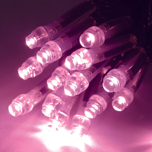 tlight LEDイルミネーション サクラピンク(拡散型) CSBSP1-100-100P/2 1 本