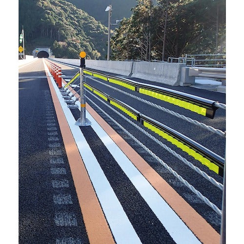 積水 セイフティリード SAL−BL−WAFYG10 SAL-BL-WAFYG10 1 個