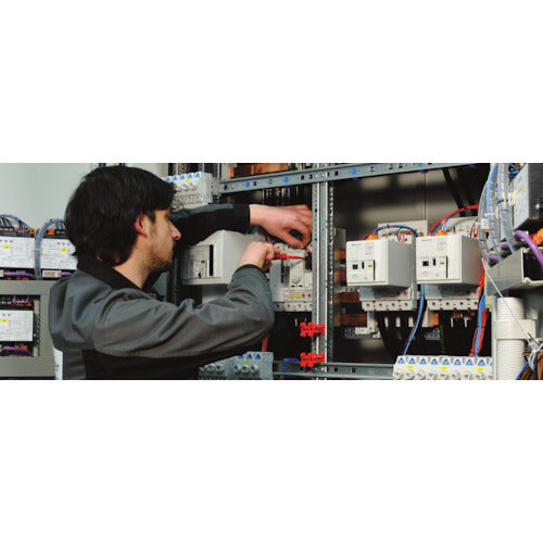 FELO エルゴニックVDEスリムドライバー 6.5X1.2X125 41396590 1 本