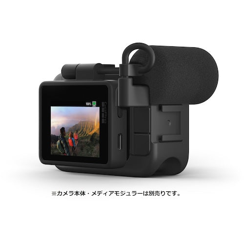 GoPro 디스플레이 모듈러 AJLCD-001-AS 1개