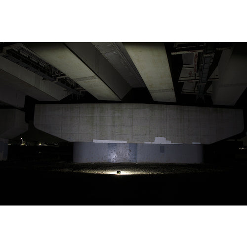 GENTOS Rechargeable COB LED high output floodlight Ganz314 GZ-314 1 unit