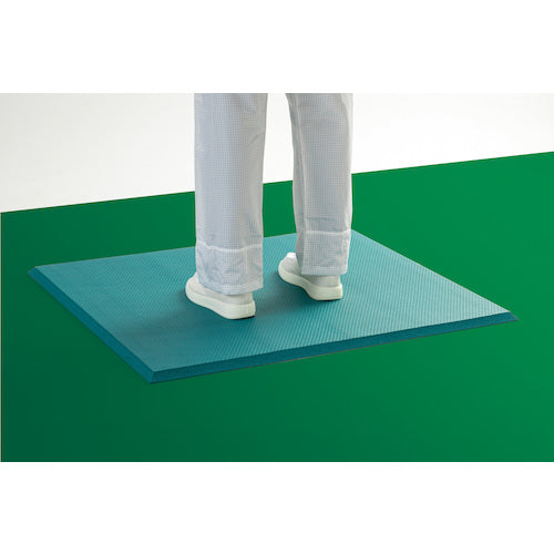 테라모토 제전 쿠션 매트 750×900mm MR-939-675-0 1장