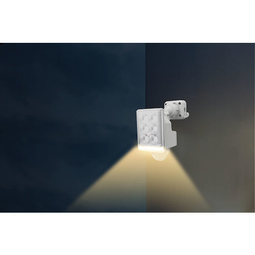 RITEX 9W 1-lamp free-arm LED sensor light with remote control LED-AC1009 1 unit