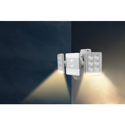 RITEX 9W 2-bulb free-arm LED sensor light with remote control LED-AC2018 1 unit