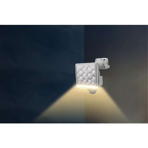 RITEX 12W 1-lamp free-arm LED sensor light with remote control LED-AC1015 1 unit