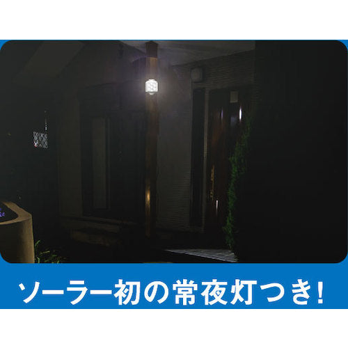 RITEX 5W 1-lamp free-arm type LED solar sensor light S-110L 1 unit