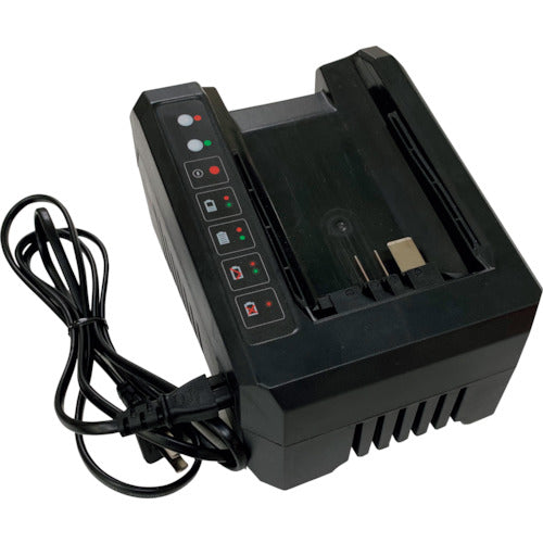 IDECH elex dedicated spare charger TPCH5602 1 unit