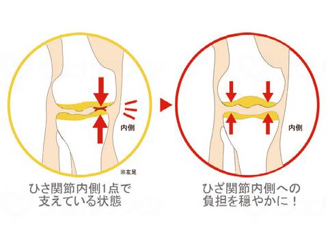 アシックス商事KNEES UP(ニーズアップ) RL-9004 ブラック 23.0