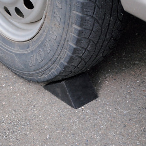 아스트로 제품 AP 링 고정 TS417 2007000014172 1 개