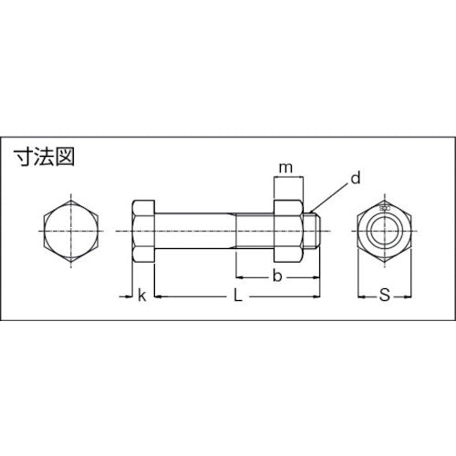 SDC Stainless Steel Special Bolt SD16075 1 pc