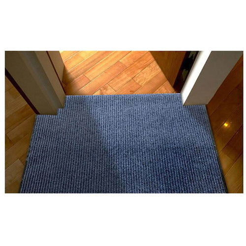 セーフラン 玄関マット 60×90cm 13712 1 枚