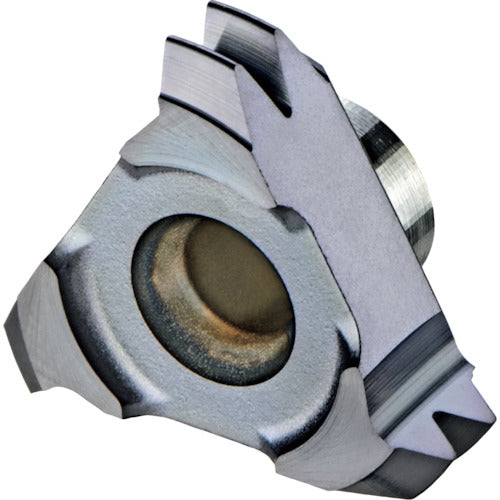 NOGA Vertical MT Tip with Finishing Blade P2.0 ISO 60°MT7 C12I2.0ISO 1 pc