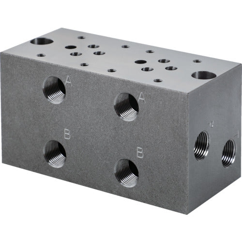 TRUSCO 매니폴드 블록 T-MBW2 1개