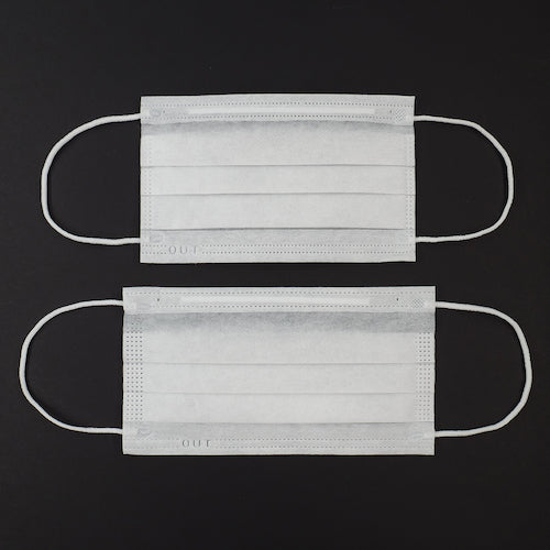 FPCO Deep Pleated Mask 2PLY Ear Hook W Small BRHB 1 Box