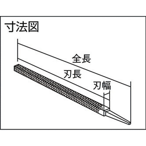 TRUSCO 鉄工用ヤスリ 角 荒目 刃長250 TKA250-01 1 本