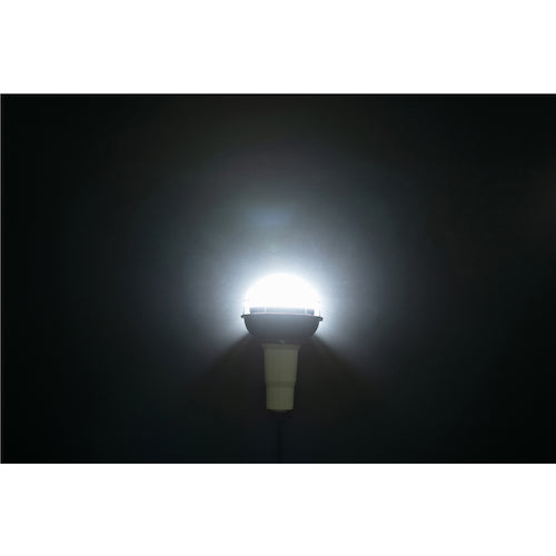 IRIS 537423 PROLEDS LED floodlight 5500lm LWTL-5500CK 1 unit