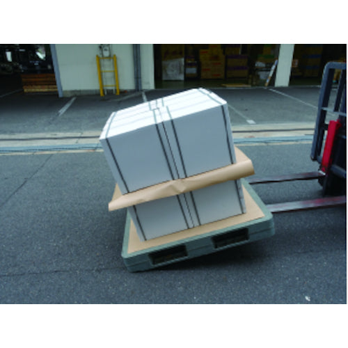 Sfactory クラフト両面NSシート 1000X1000 100枚入り SF-B411 1 箱