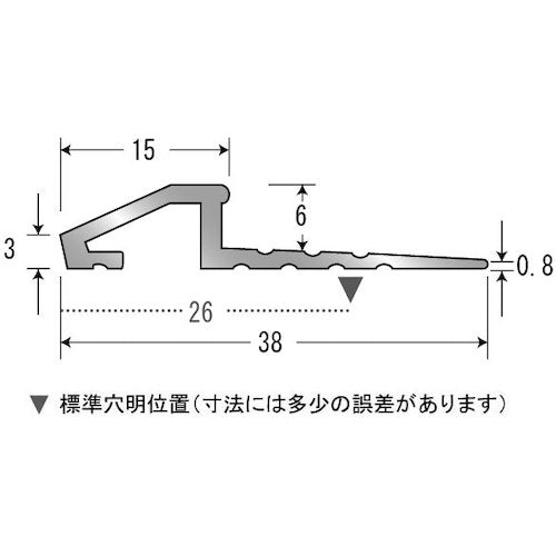 ASSIST 床金物ディバイドエッジ 穴あり ブラック 定尺2M 20-410BL22 1 本